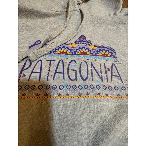 Patagonia Womens Organic Cotton Graphic Hoodie Brown Heather Sweatshirt Medium - Picture 2 of 11
